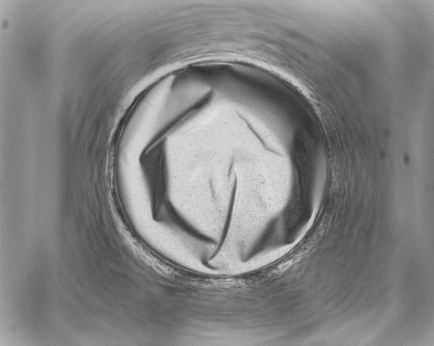 X0000058121526200510171257