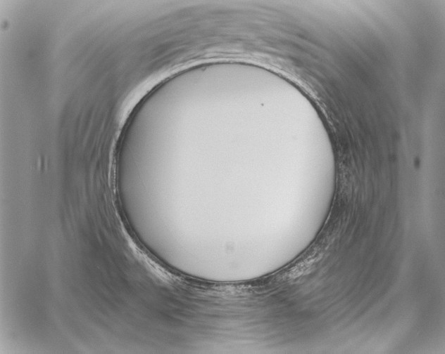 X0000058121527200510171257