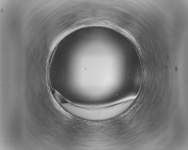 X0000058121528200510171257