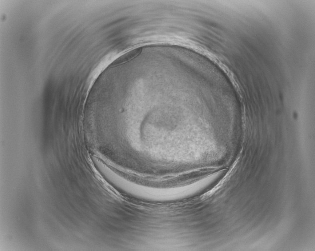 X0000058121529200510171257