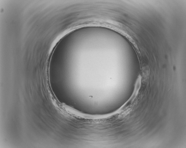 X0000058121530200510171257