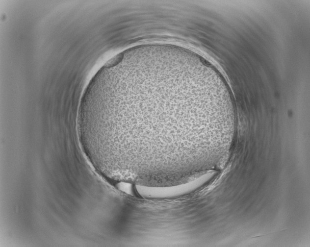 X0000058121533200510171257