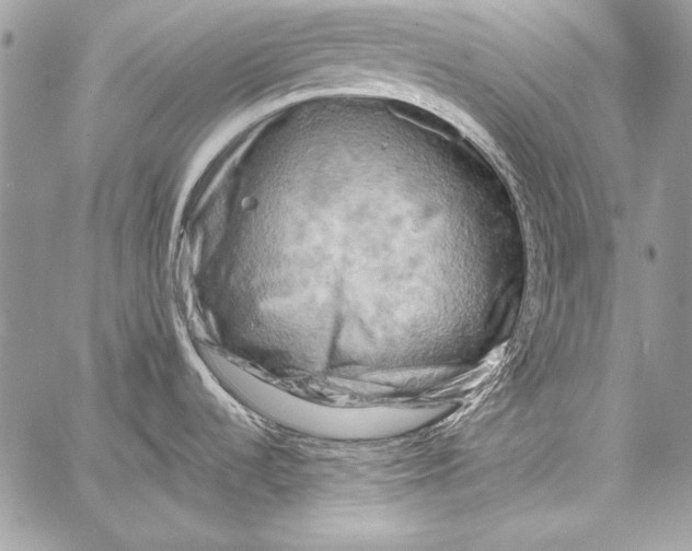 X0000058121536200510171257