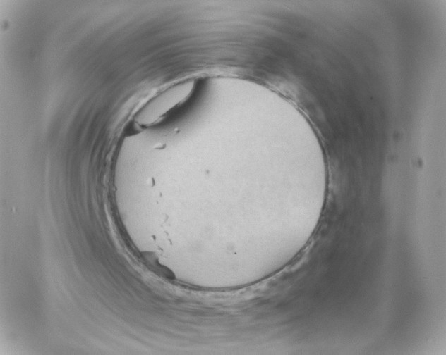 X0000058120001200510212032