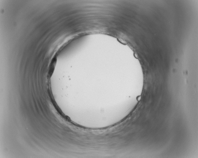 X0000058120002200510212032