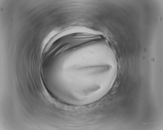 X0000058120003200510212032