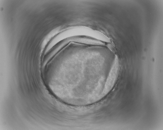 X0000058120006200510212032