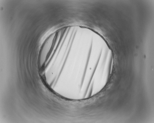 X0000058120007200510212032