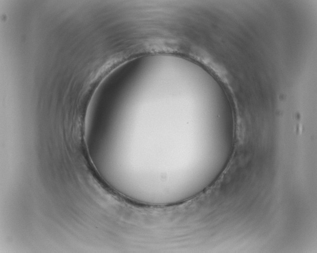 X0000058120009200510212032