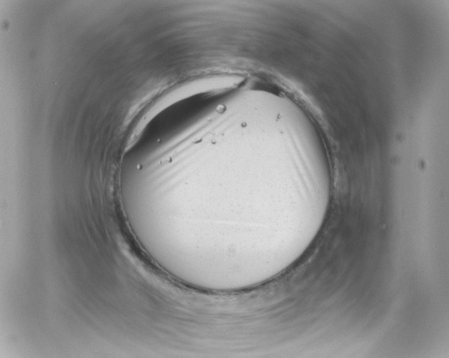 X0000058120010200510212032