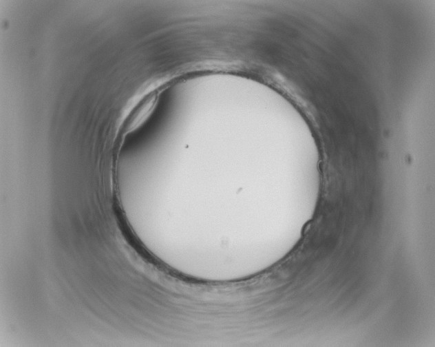 X0000058120011200510212032