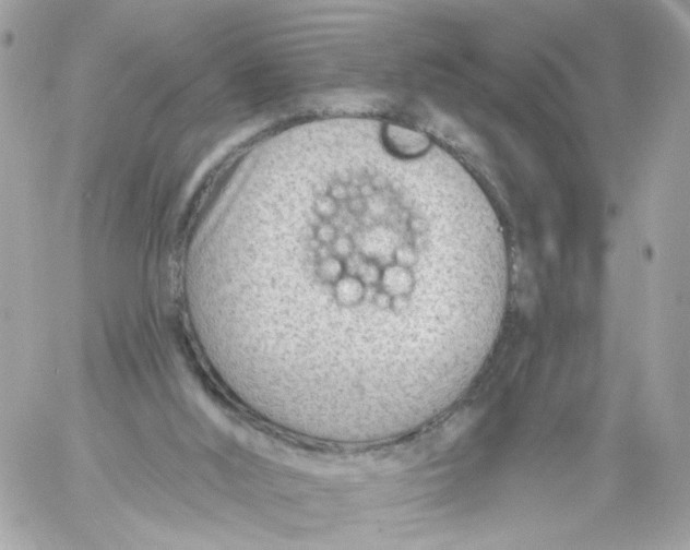 X0000058120012200510212032