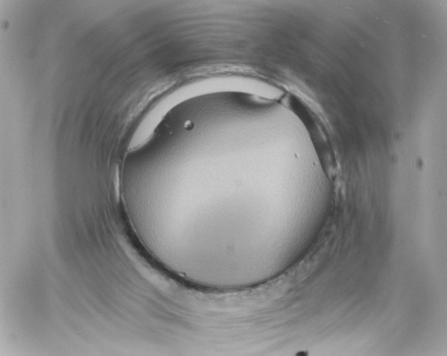 X0000058120013200510212032