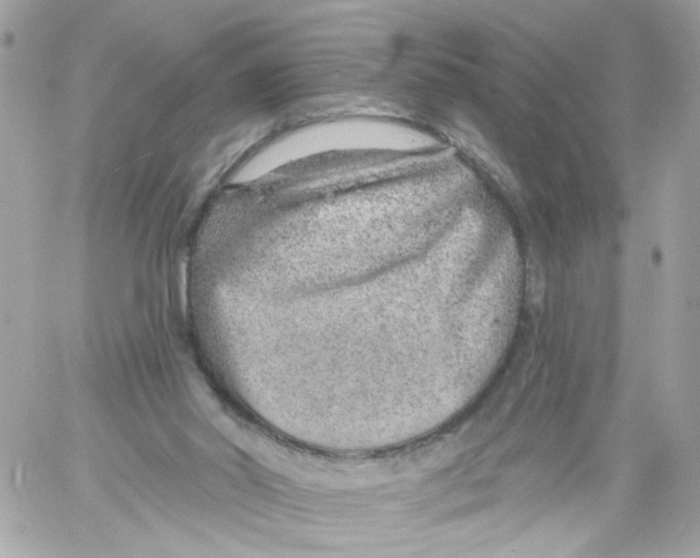 X0000058120014200510212032