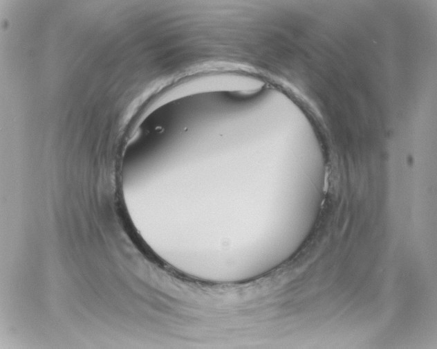 X0000058120015200510212032