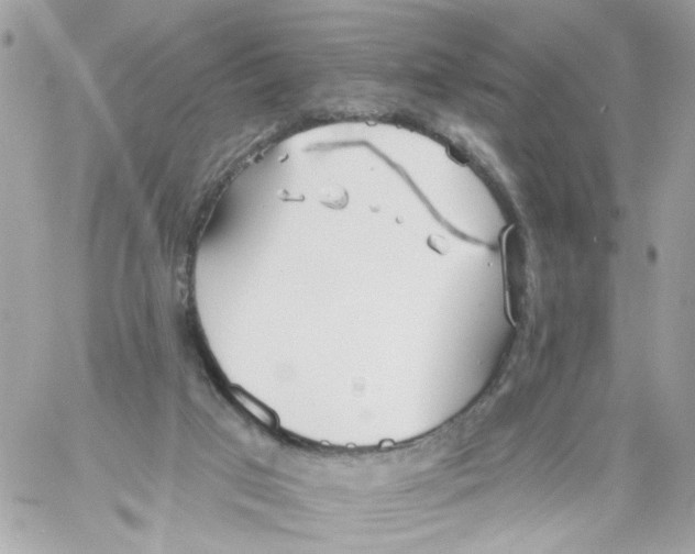 X0000058120017200510212032