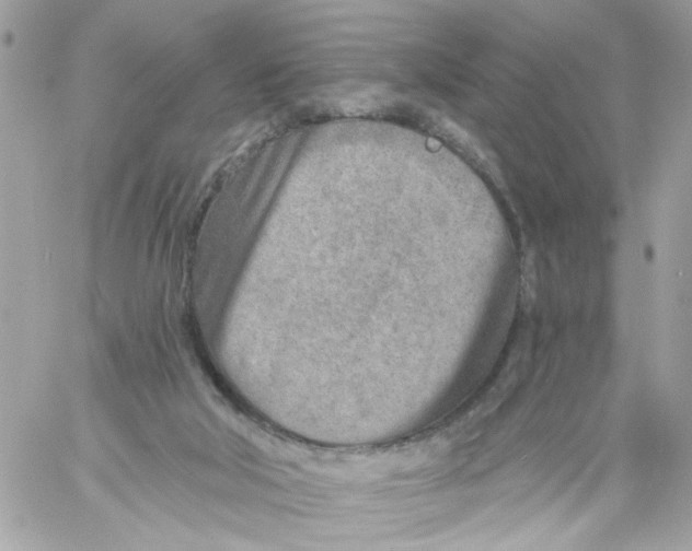 X0000058120018200510212032