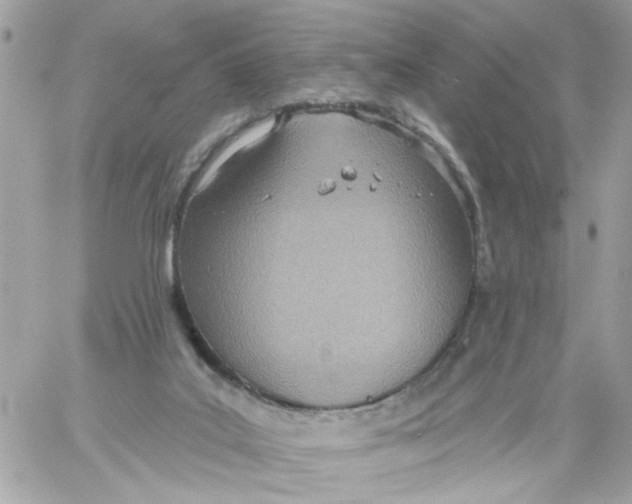 X0000058120019200510212032