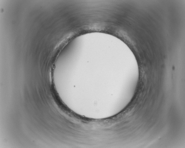 X0000058120020200510212032