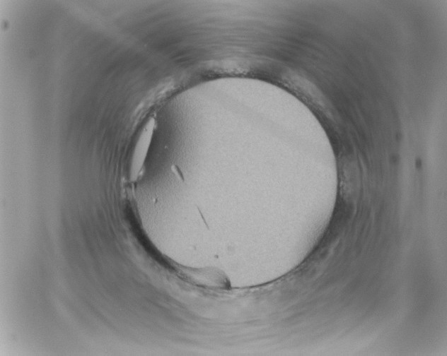 X0000058120023200510212032