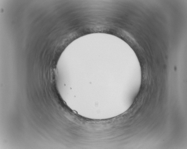 X0000058120025200510212032