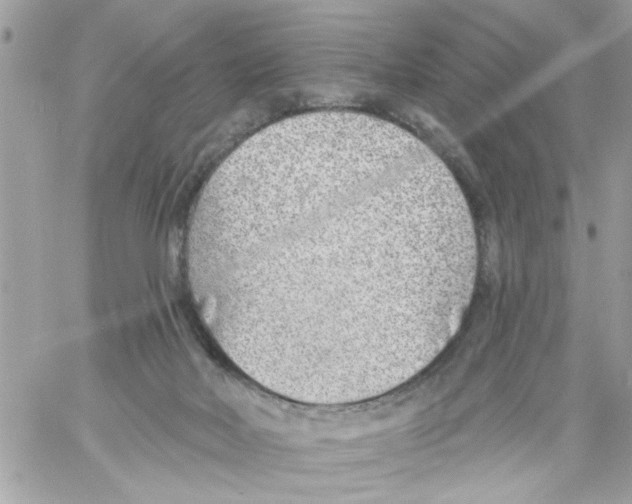 X0000058120026200510212032