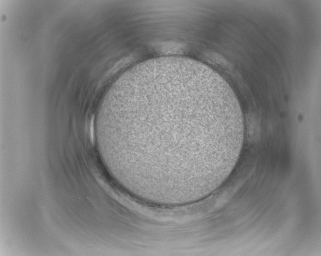 X0000058120028200510212032