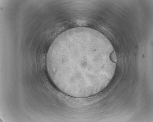 X0000058120030200510212032