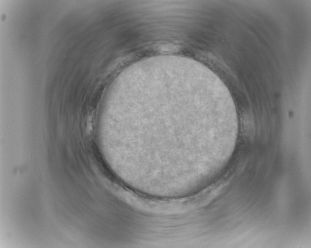 X0000058120032200510212032