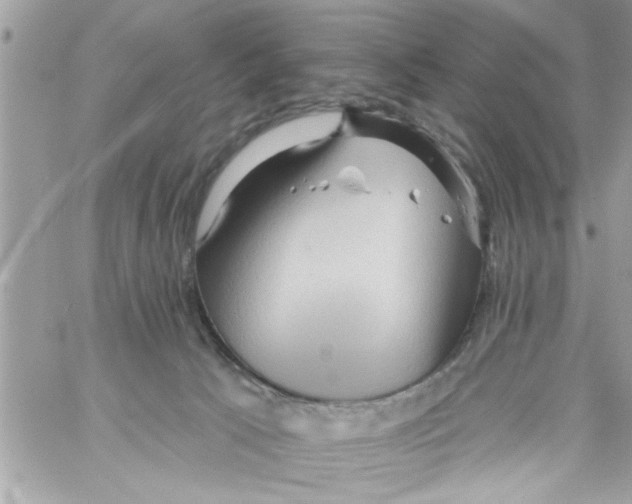 X0000058120033200510212032