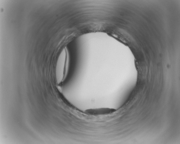 X0000058120035200510212032