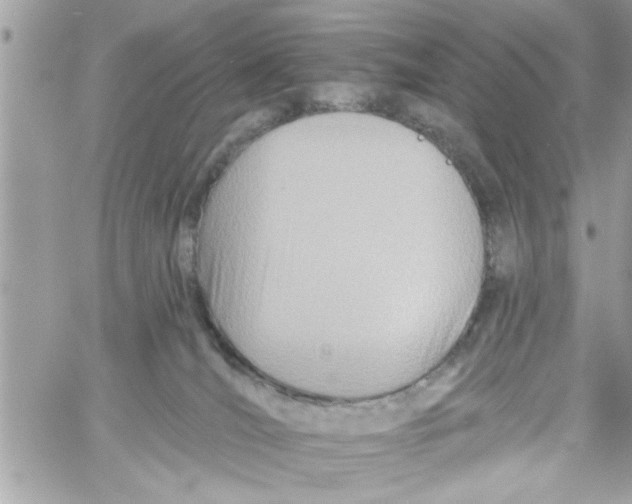 X0000058120036200510212032