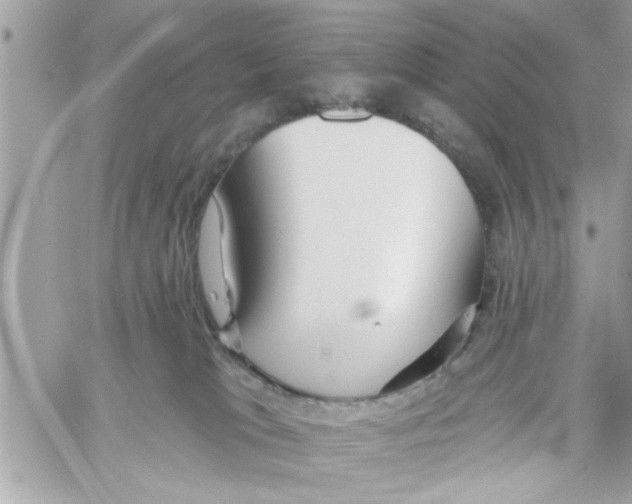 X0000058120037200510212032