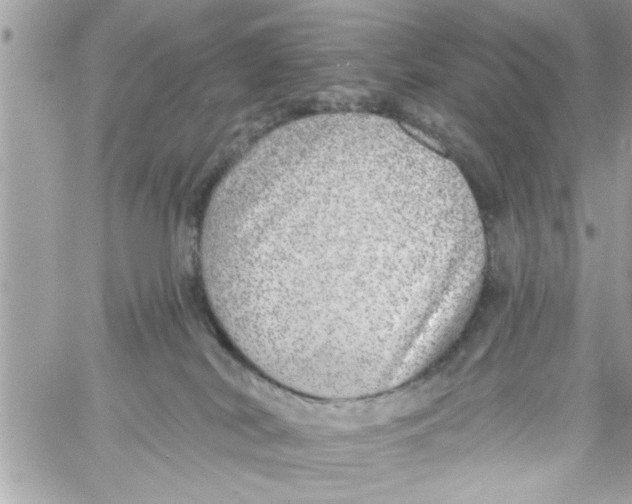 X0000058120038200510212031