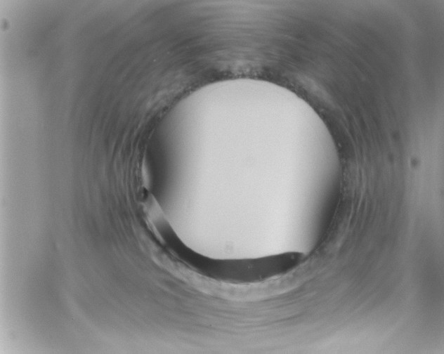 X0000058120039200510212031