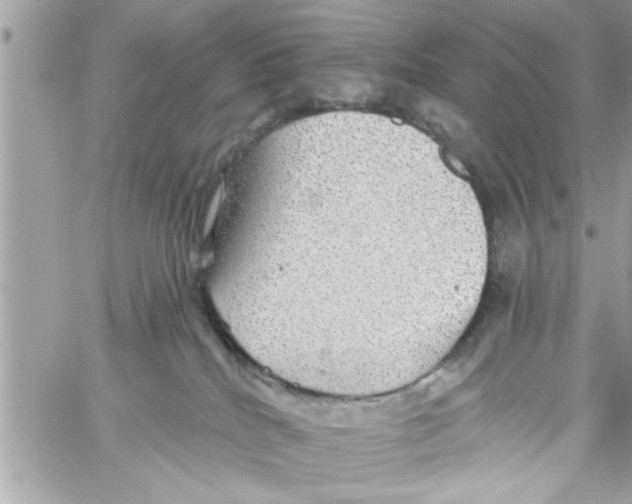 X0000058120040200510212031