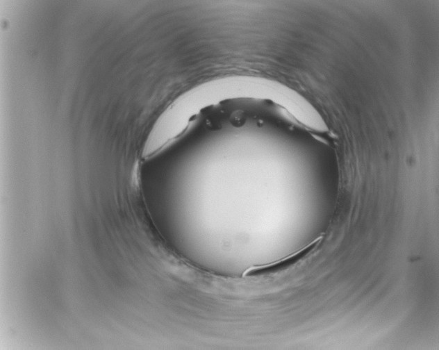 X0000058120041200510212031