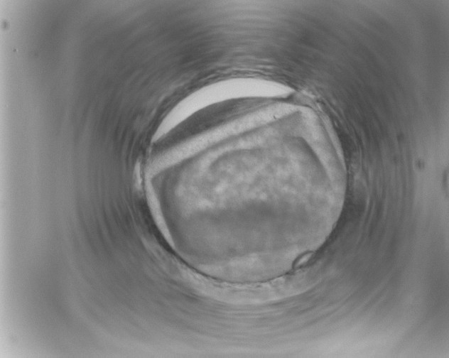 X0000058120042200510212031