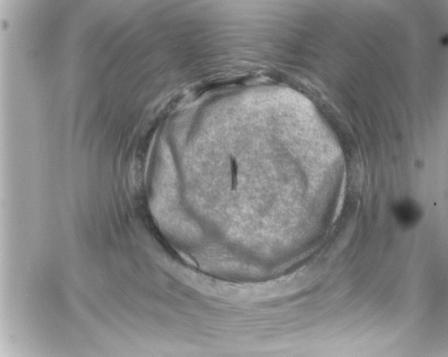 X0000058120043200510212031