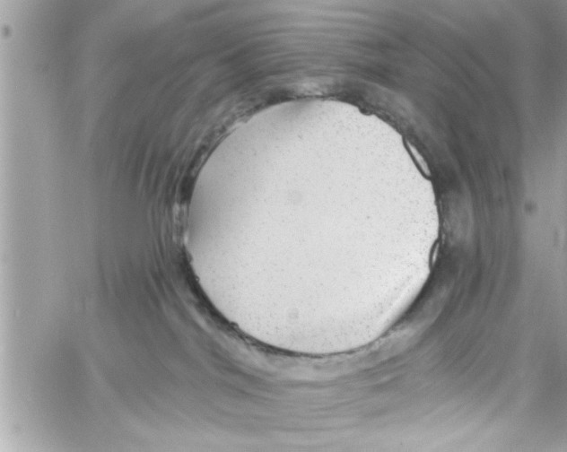 X0000058120044200510212031