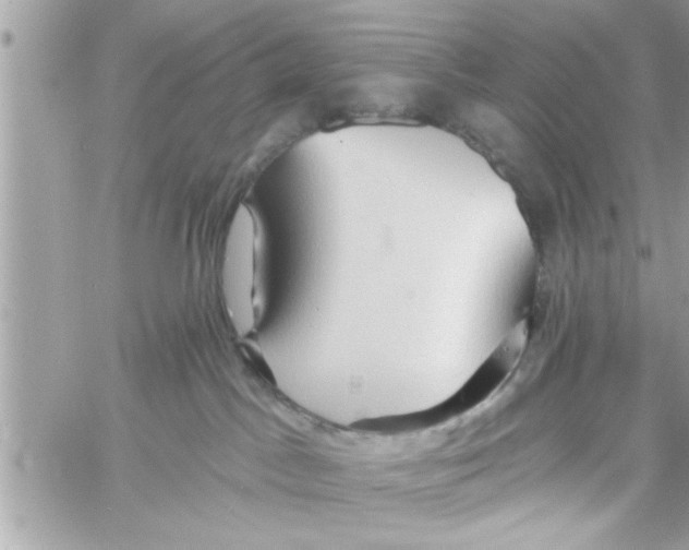 X0000058120045200510212031