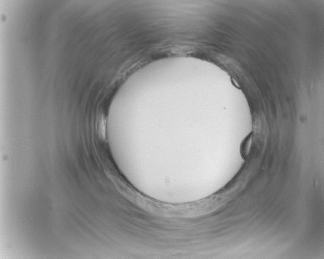 X0000058120046200510212031