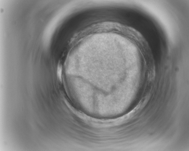 X0000058120047200510212031