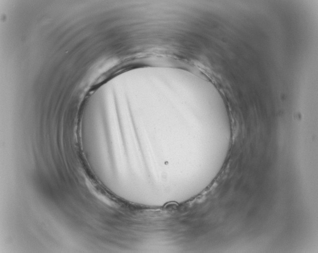 X0000058120050200510212031