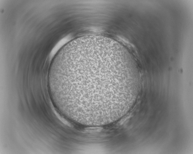 X0000058120051200510212031