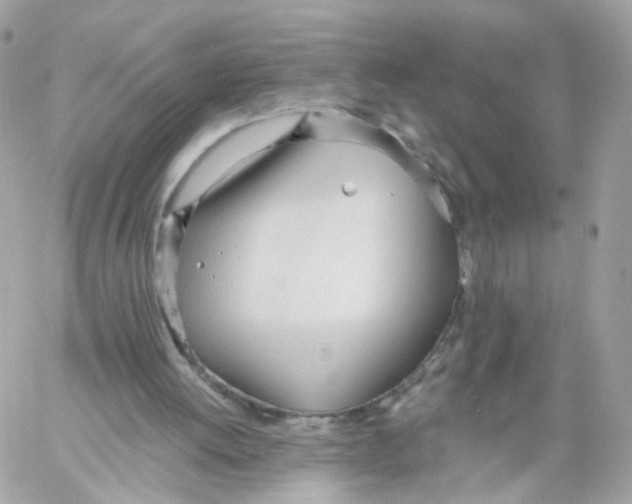 X0000058120052200510212031