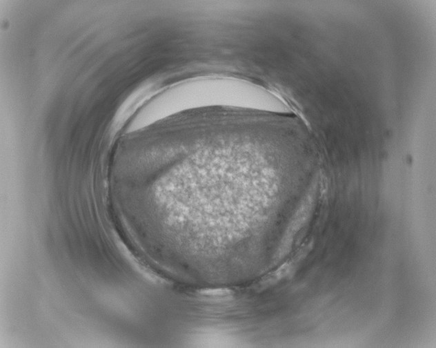 X0000058120053200510212031