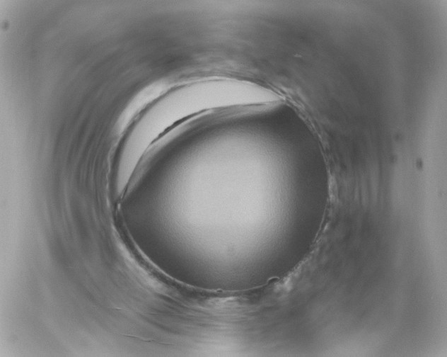 X0000058120054200510212031