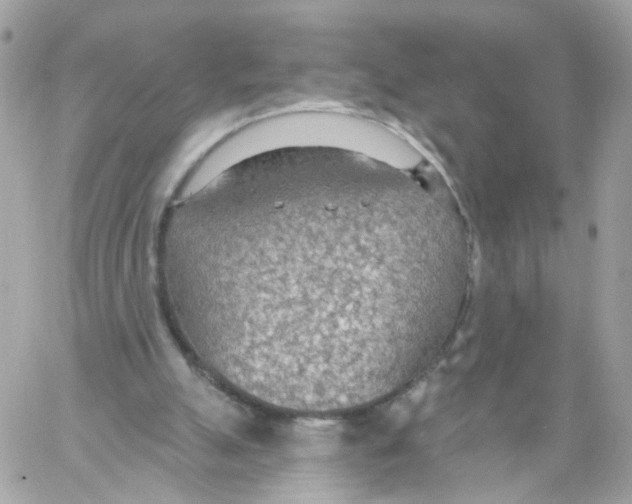 X0000058120055200510212031