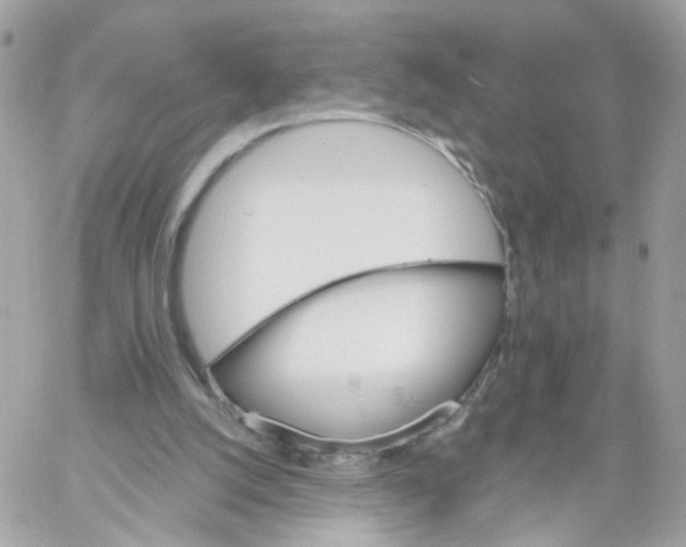 X0000058120056200510212031